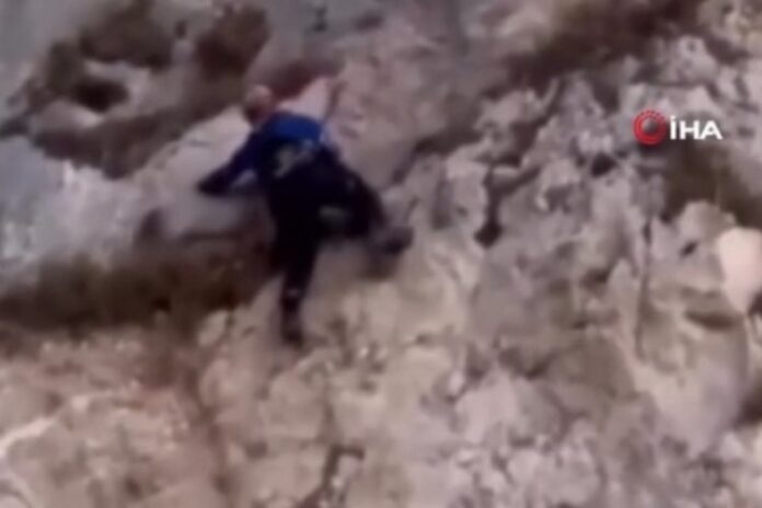 Kayalıklarda mahsur kalan köpek kurtarıldı