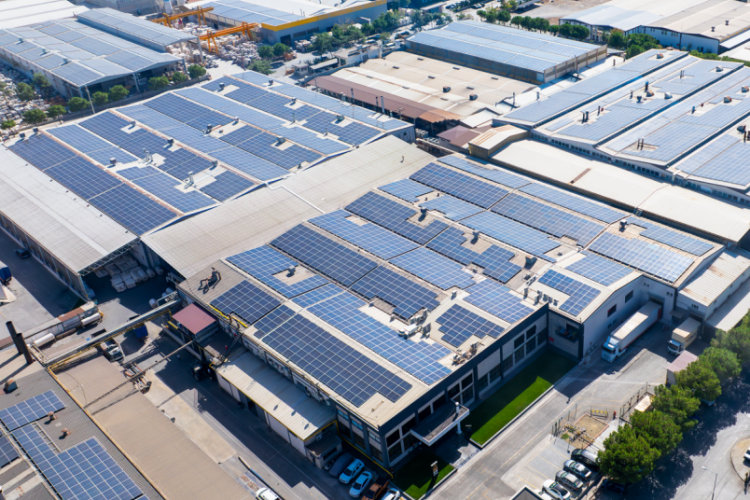 CW Enerji güneş ışığını sürdürülebilir enerjiye çevirmeye devam ediyor – Ekonomi Haberleri