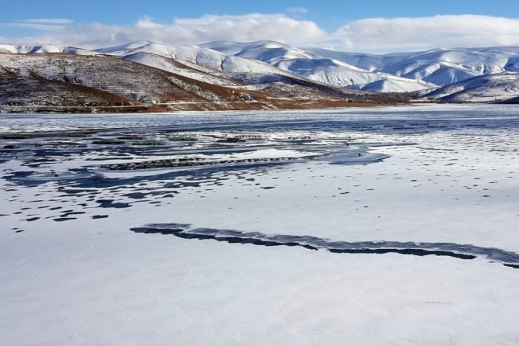 Soğuk hava göletleri dondurdu