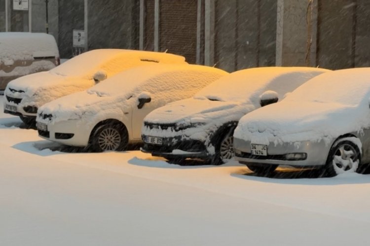 Yüksekova’da lapa lapa kar yağışı başladı