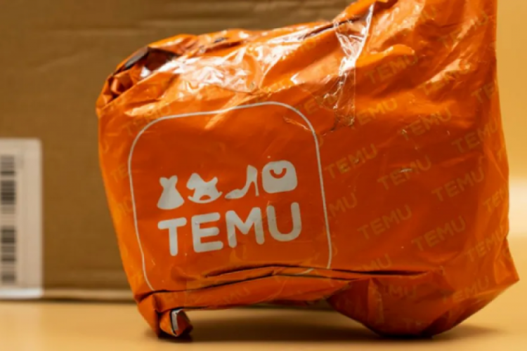 2024 Temu’nun yılı oldu! Peki sebebi nedir? – Ekonomi Haberleri