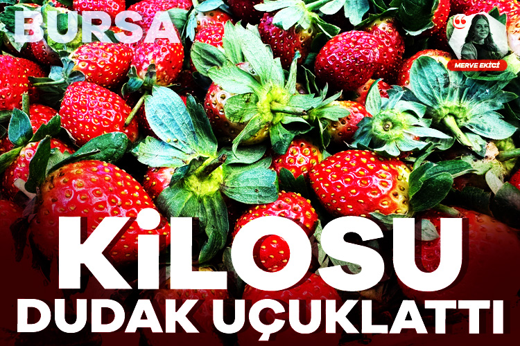 Bursa’da çileğin kilosu dudak uçuklattı! – Ekonomi Haberleri