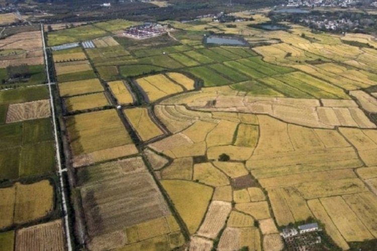 Arsa alacaklar olanlar dikkat! Yargıtay’dan emsal karar – Ekonomi Haberleri