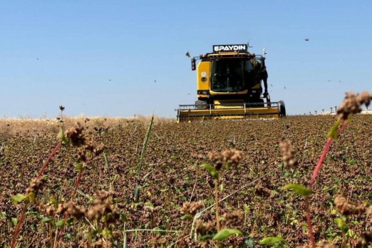 Çiftçilere destekleme ödemesi bugün yapılacak – Ekonomi Haberleri