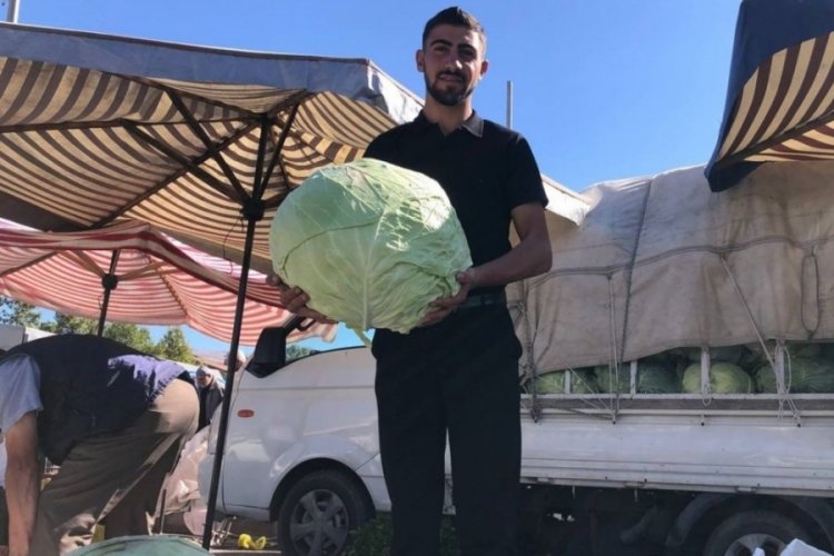 Kışın habercisi lahana tezgahlarda yerini aldı! Vatandaş fiyattan şikayetçi – Ekonomi Haberleri