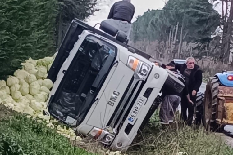 Bursa’da lahana yüklü kamyonet devrildi!