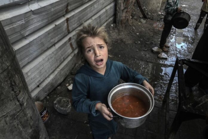 DSÖ: Refah Sınır Kapısı açılmasına rağmen Gazze'ye ulaşan yardımlar çok yetersiz